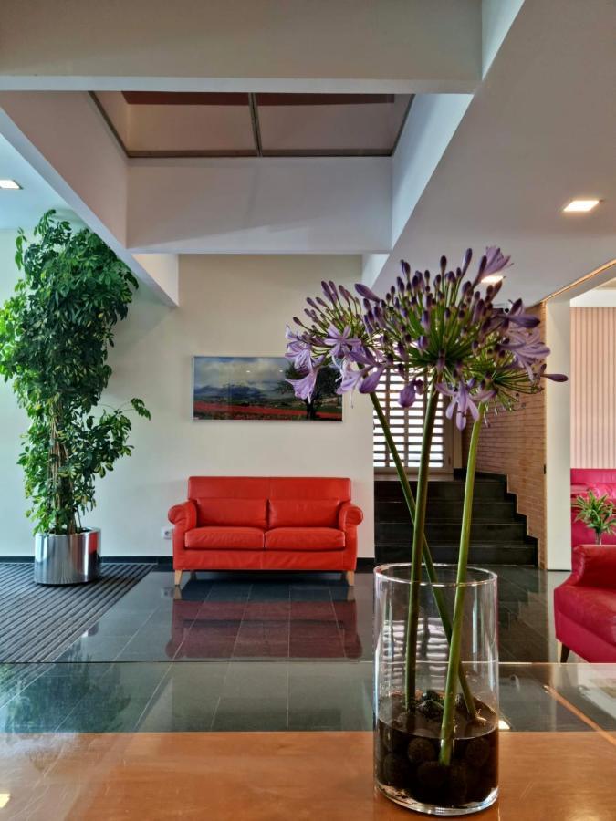 Apartaments Els Quimics Жерона Екстер'єр фото