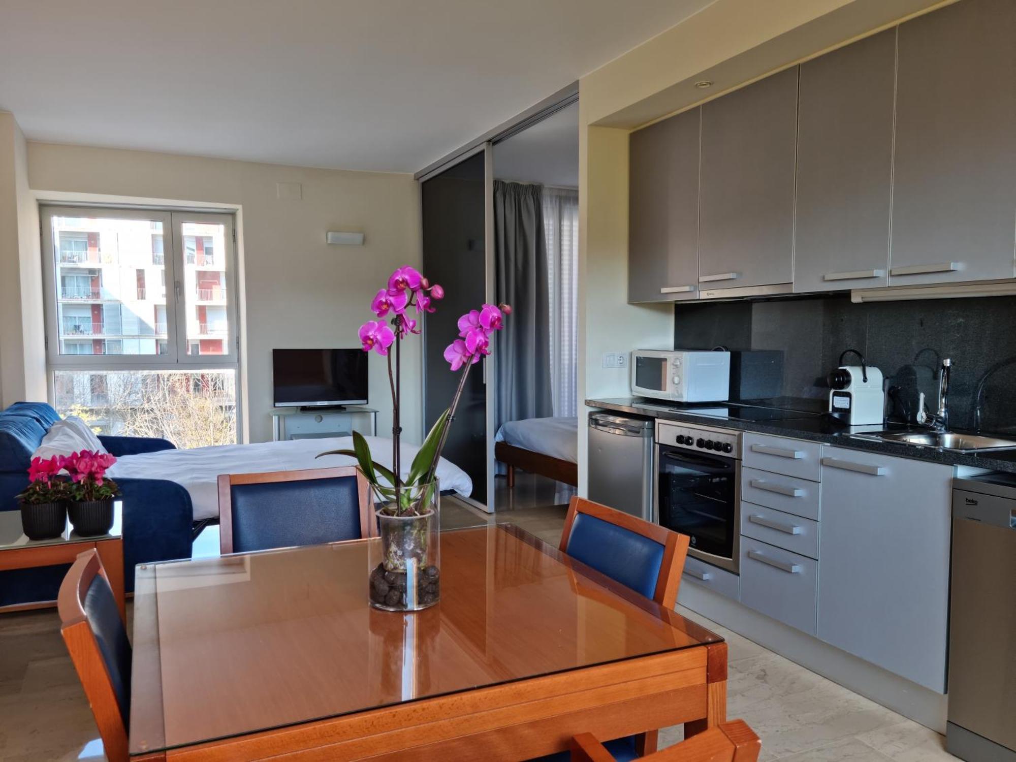 Apartaments Els Quimics Жерона Екстер'єр фото